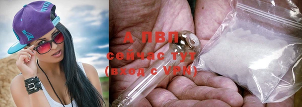 стафф Лиски