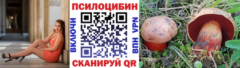 Галлюциногенные грибы Magic Shrooms  Купить закладки  Пласт 